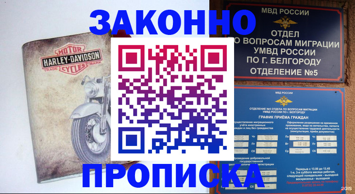 прописка для школы в Московской области